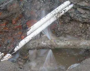 仪征水管维修费用是多少