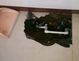 仪征卫生间测漏水多少钱